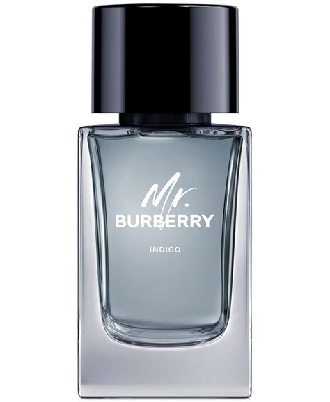 mr burberry indigo 3.3 oz|mr burberry indigo price.